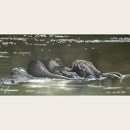 Bright Water - Greetings card