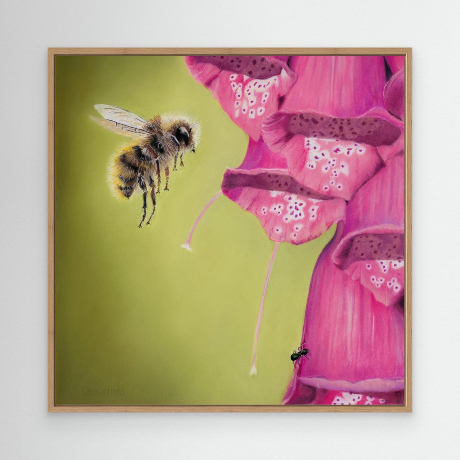 Bee approaching a foxglove plant with green background