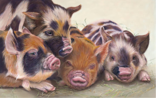 Four little piggies: A rolled canvas print of four cute piglets