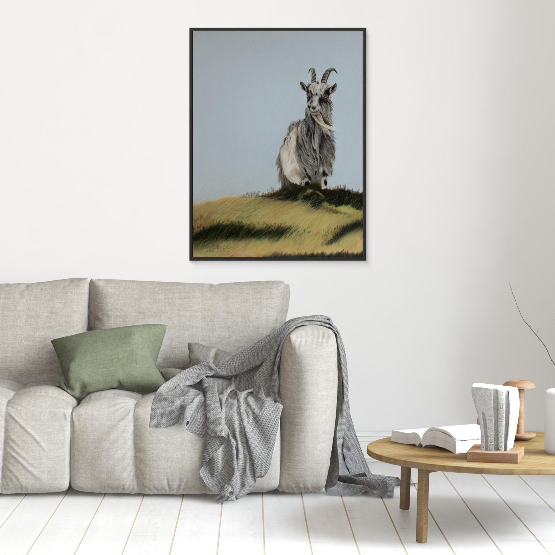 Scottish mountain goat in a framed canvas print