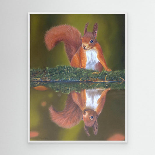 Red squirrel and reflection on a large canvas print