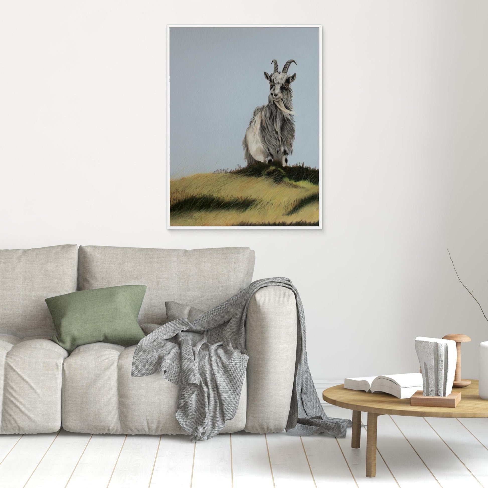 Wild Scottish goat on a large framed canvas print