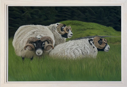 Detailed pastel painting of three Scottish Blackface rams with thick fleece and curled horns nestled in grassy pastures near a stone wall, created by a Kirkcudbright-based artist.
