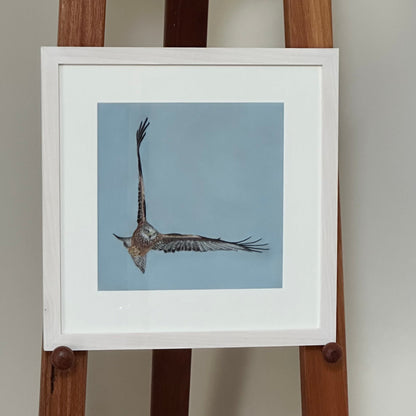 "Red Kite" : an original pastel painting