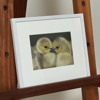 "Goslings": an original pastel painting