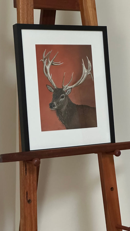 "Red deer stag": an original pastel painting