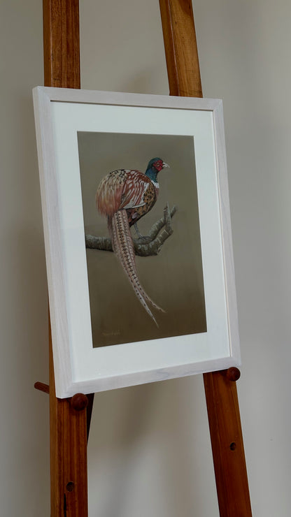 "Male Pheasant": an original pastel painting