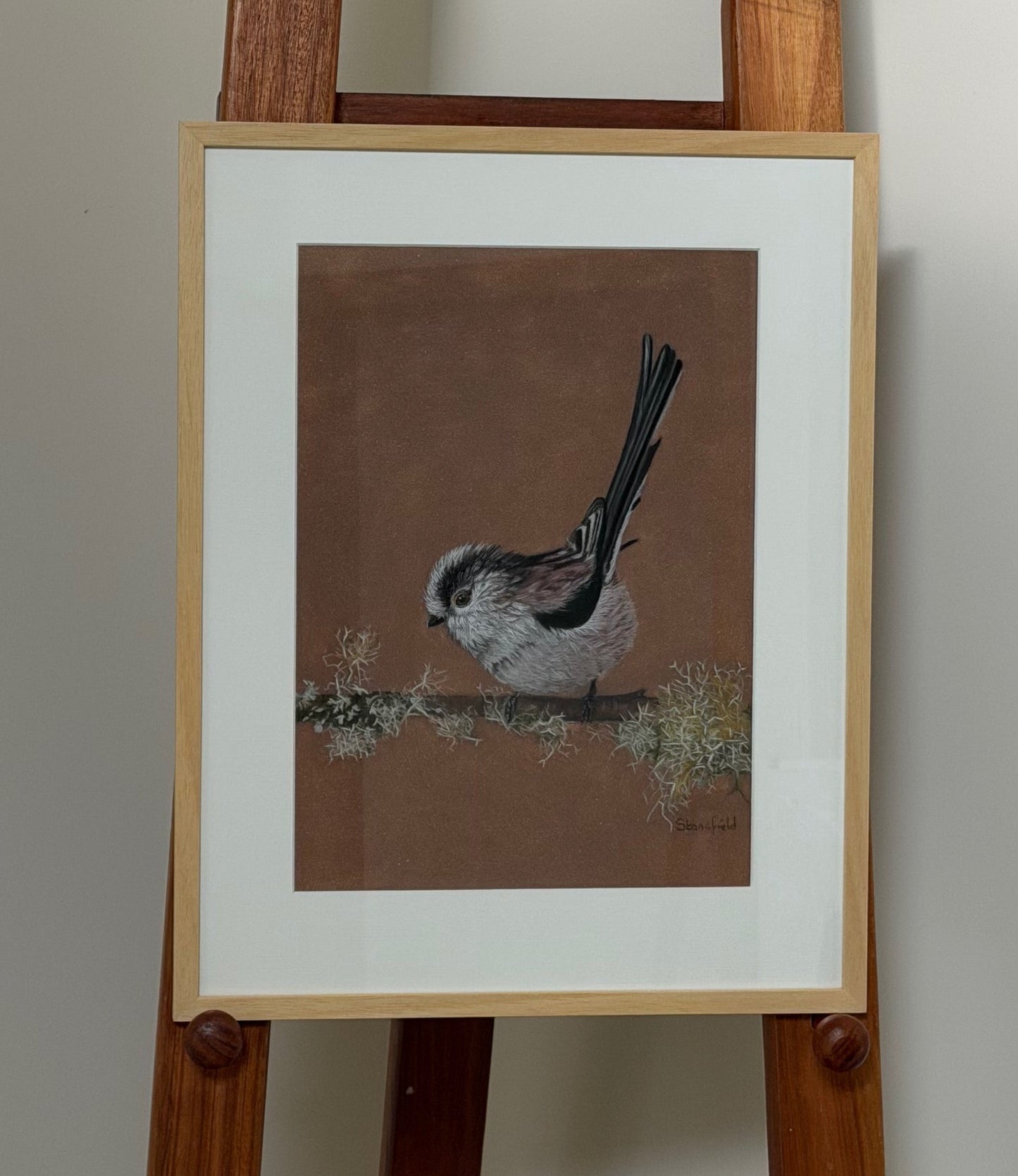 Long tailed tit - lichen: an original pastel painting