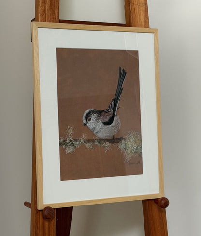 Long tailed tit - lichen: an original pastel painting