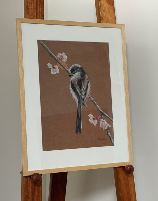 Long tailed tit - blossom: an original pastel painting