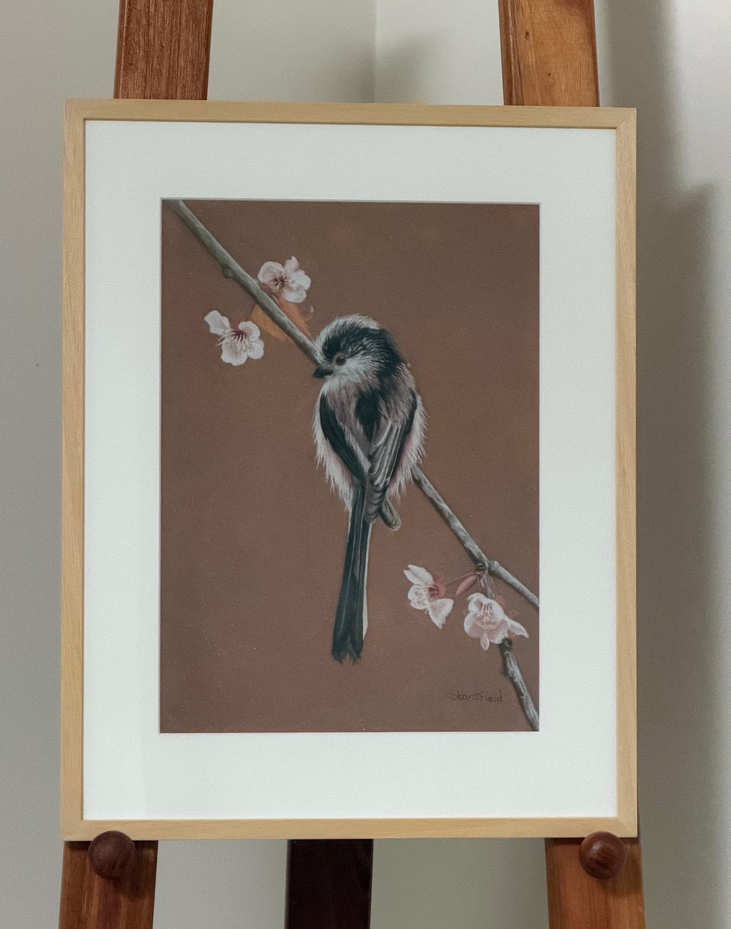Long tailed tit - blossom: an original pastel painting
