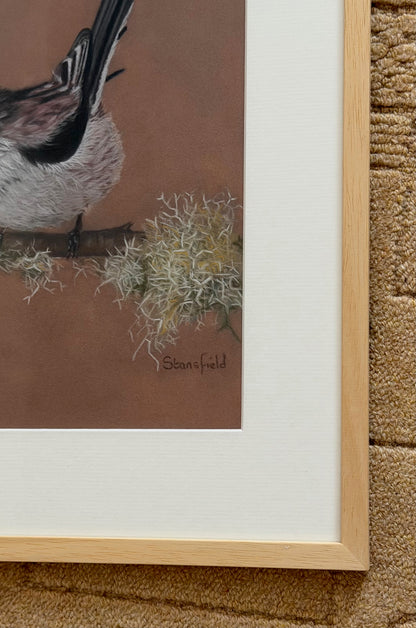 Long tailed tit - lichen: an original pastel painting