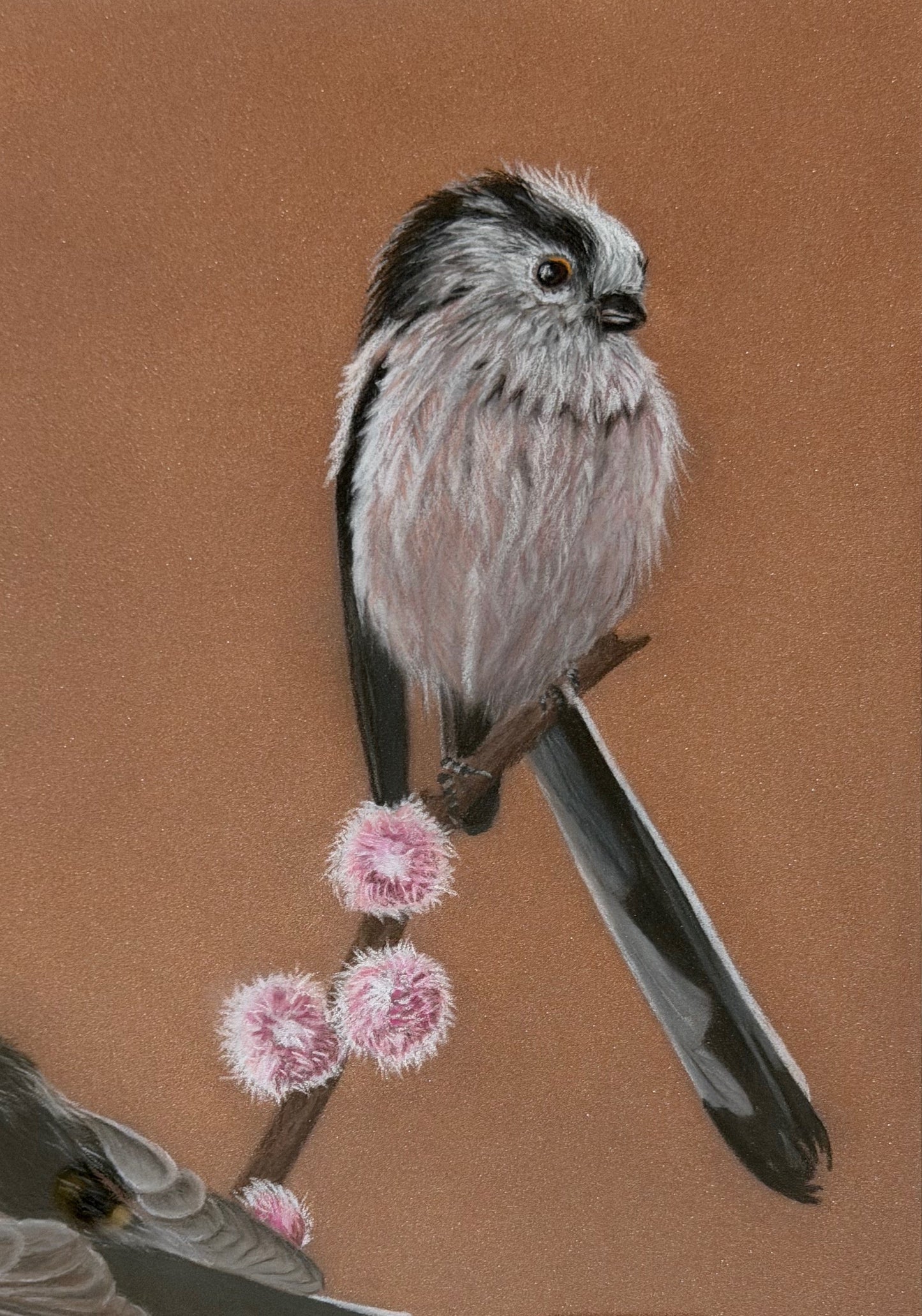 Long tailed tits - willow: an original pastel painting
