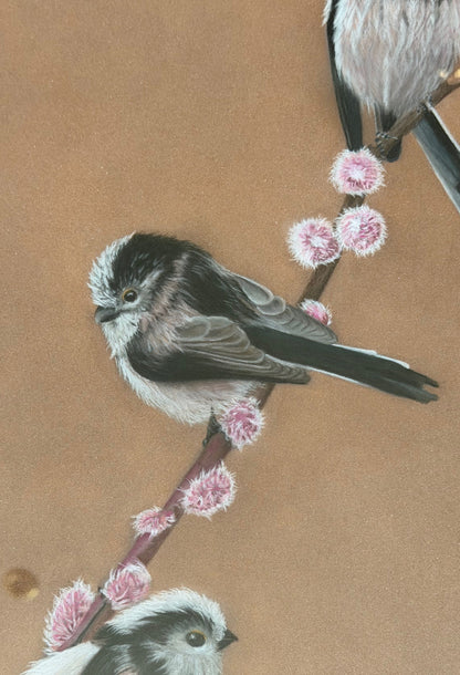 Long tailed tits - willow: an original pastel painting