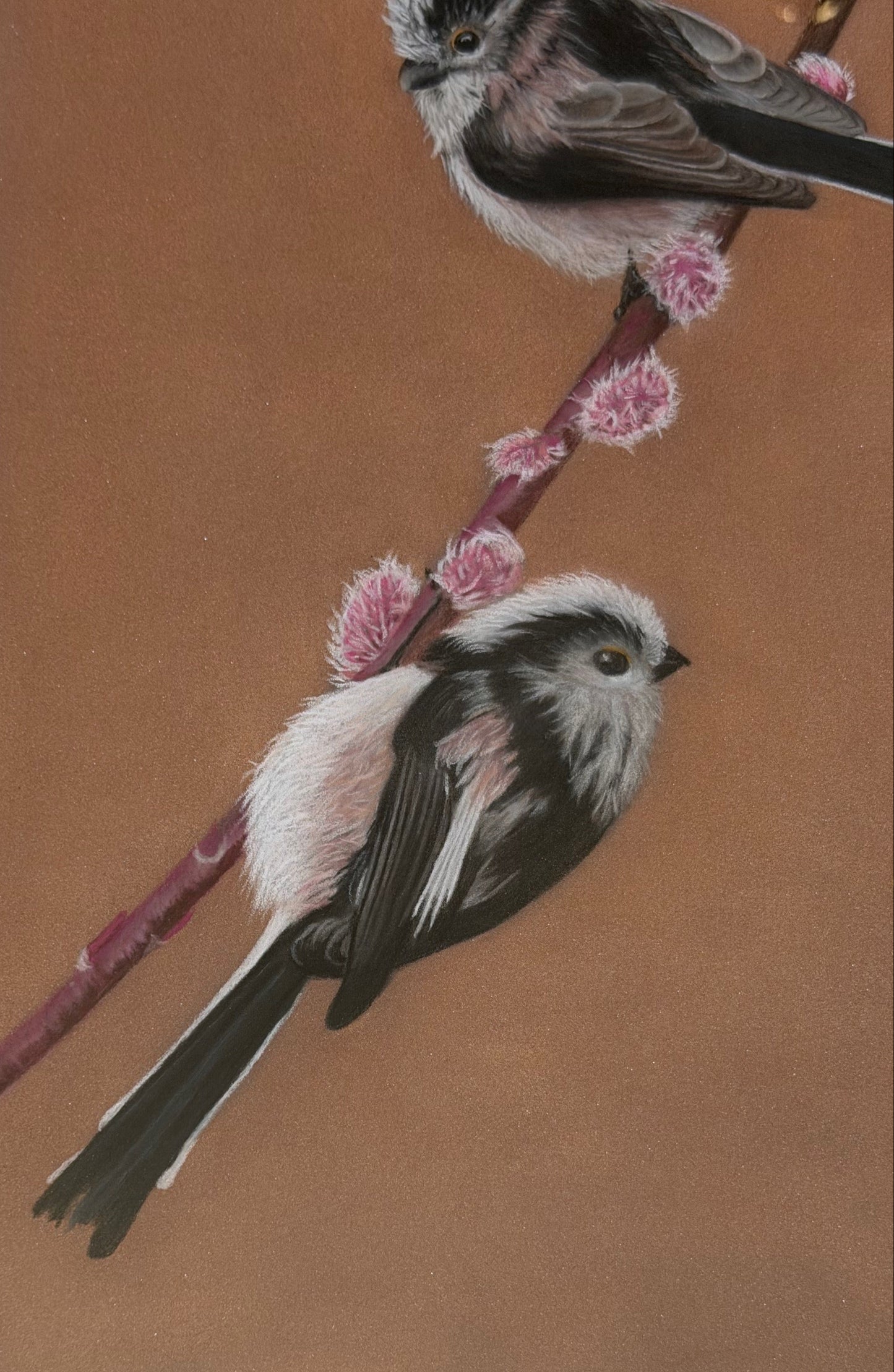 Long tailed tits - willow: an original pastel painting