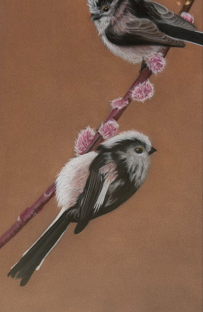 Long tailed tits - willow: an original pastel painting