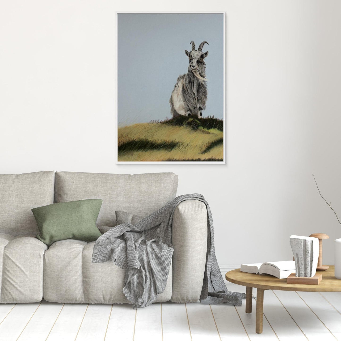 Scottish wild goat on a hill