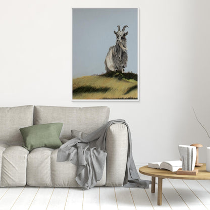 Scottish wild goat on a hill