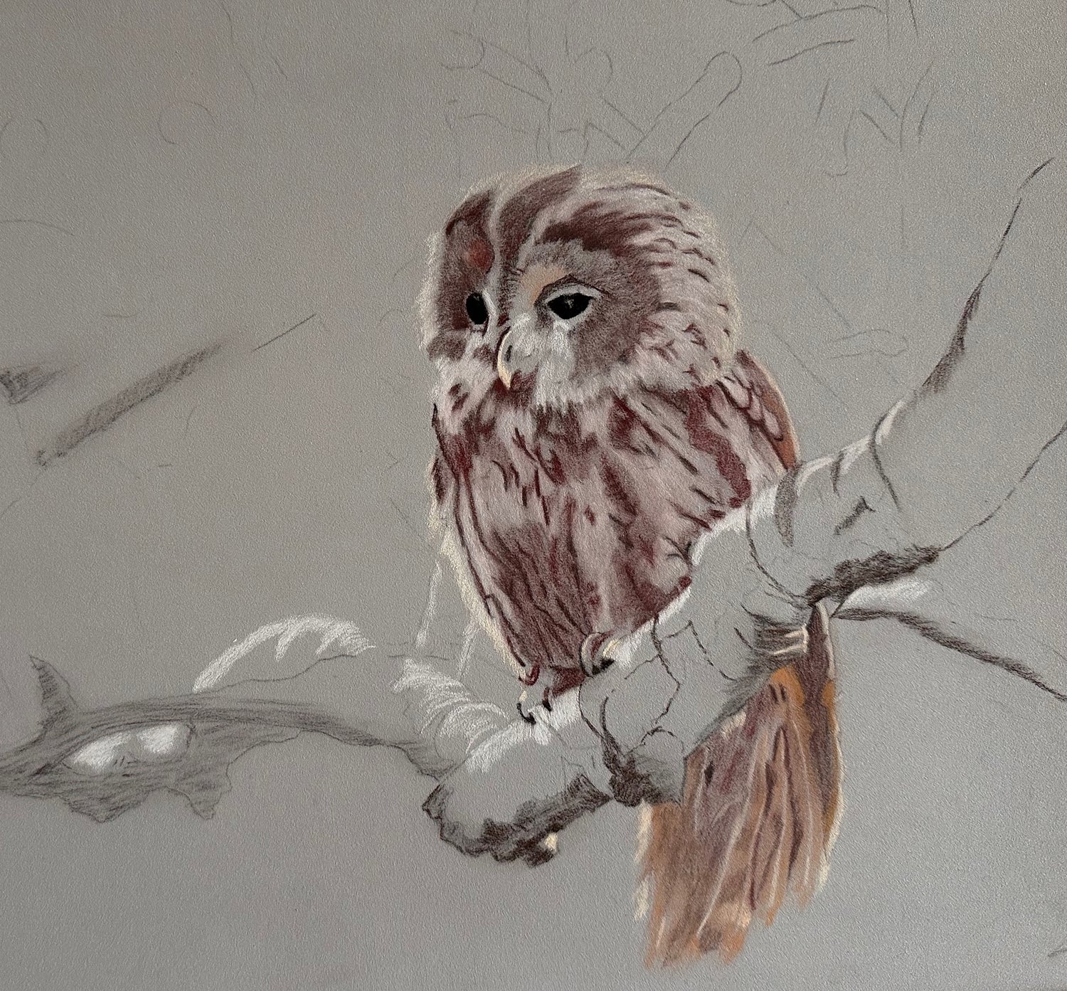 Artistic depiction of an owl perched on a branch with a textured gray background