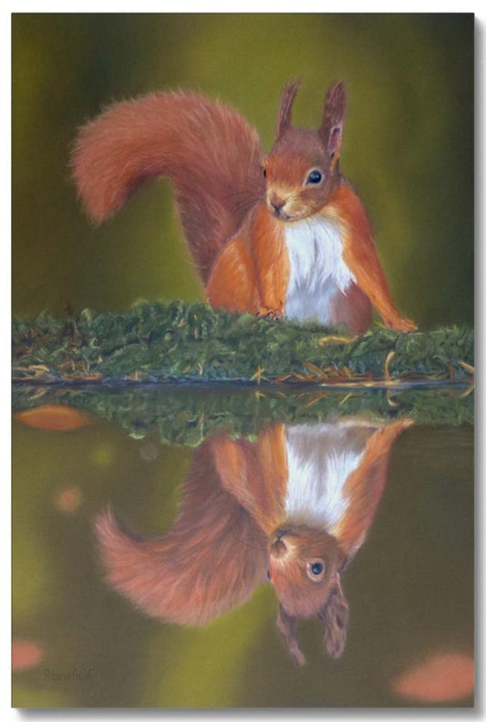 A red squirrel finely reflected on this stretched canvas print from an original by Fiona Stansfield Fine Art