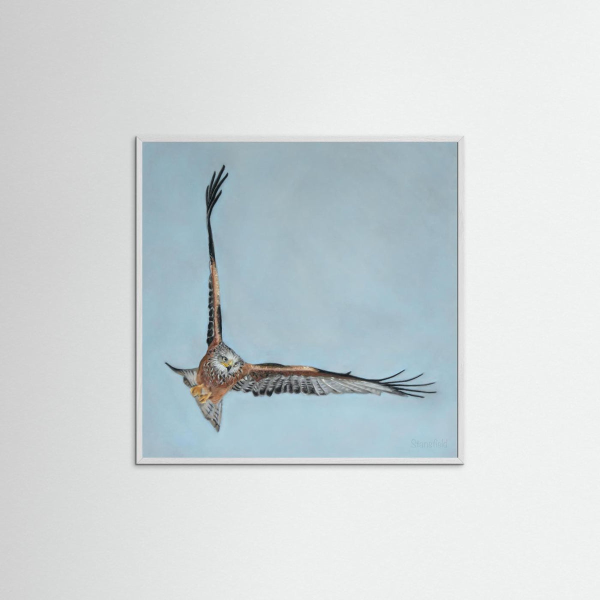 Red kite: open edition print