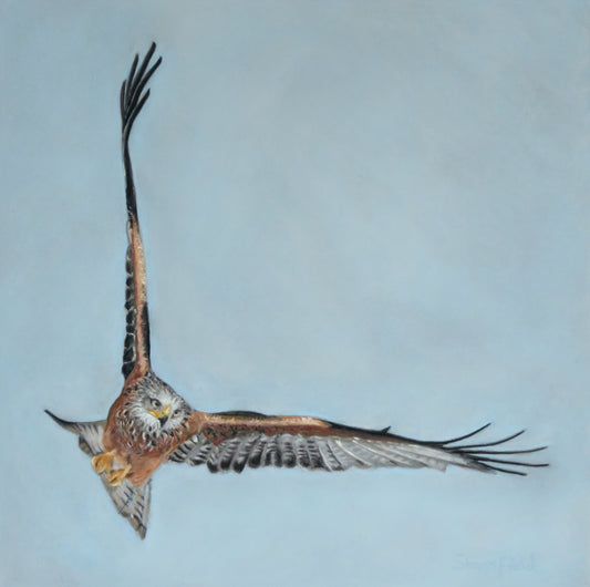 Red kite flying against a clear blue sky