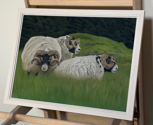 Original pastel painting titled "Waiting at Gatehouse Station," depicting three Blackface rams with curved horns resting in a lush green Scottish field.