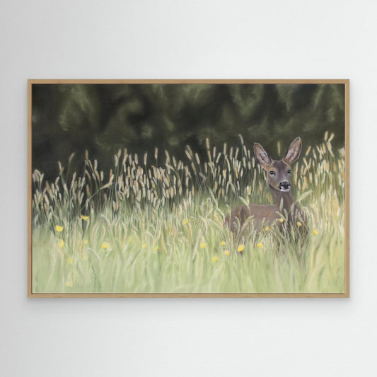Roe deer in grassland on a canvas print