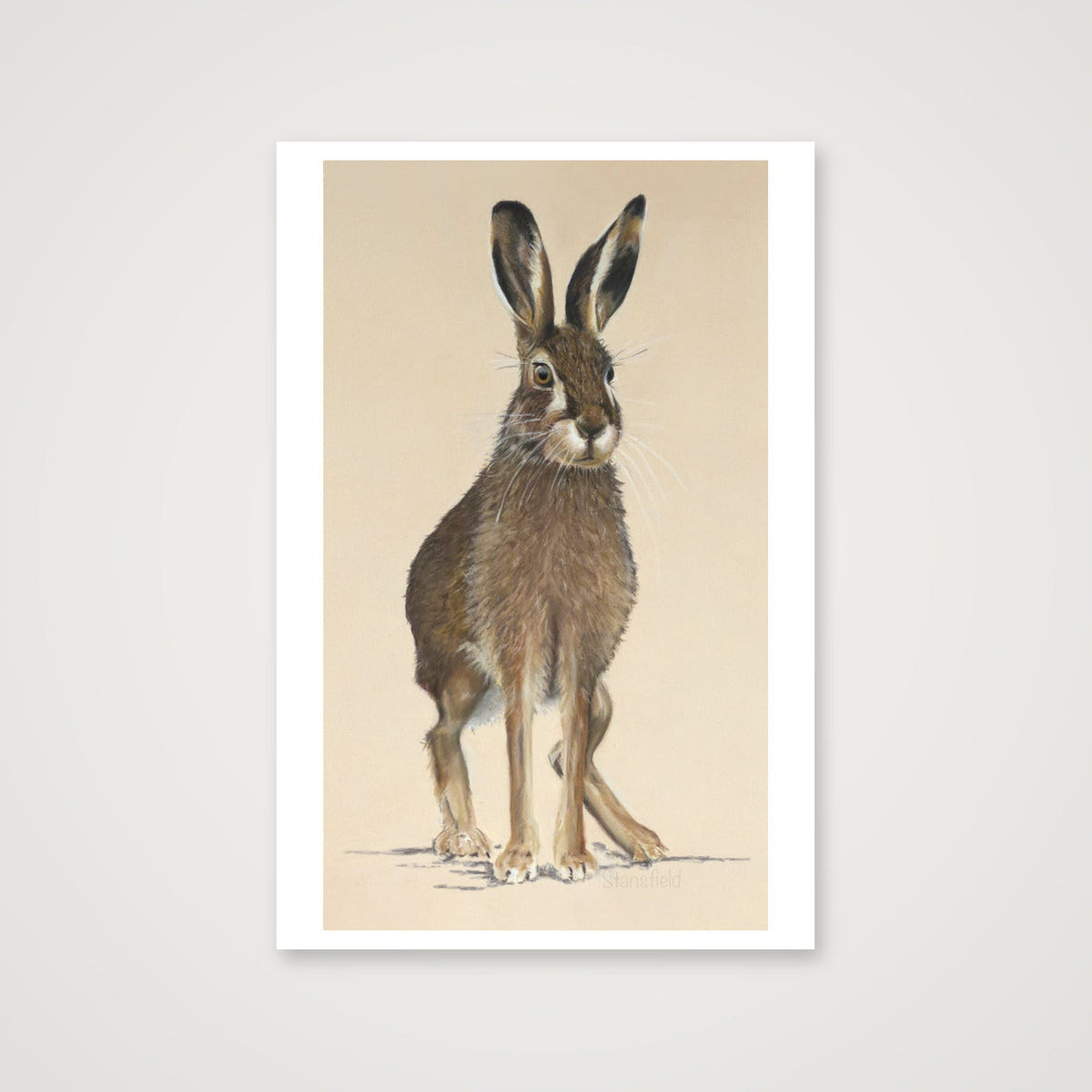 6  m hare increased background with tight dig sig — 30×45cm, 12×18" Print only