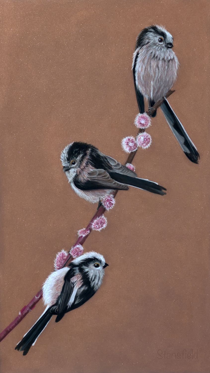 Long tailed tits on willow - an open edition print
