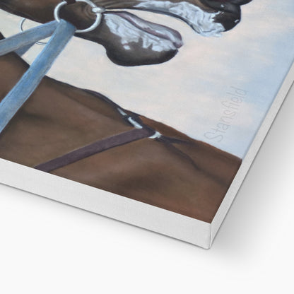 Morning gallop: Stretched canvas of a thoroughbred in training