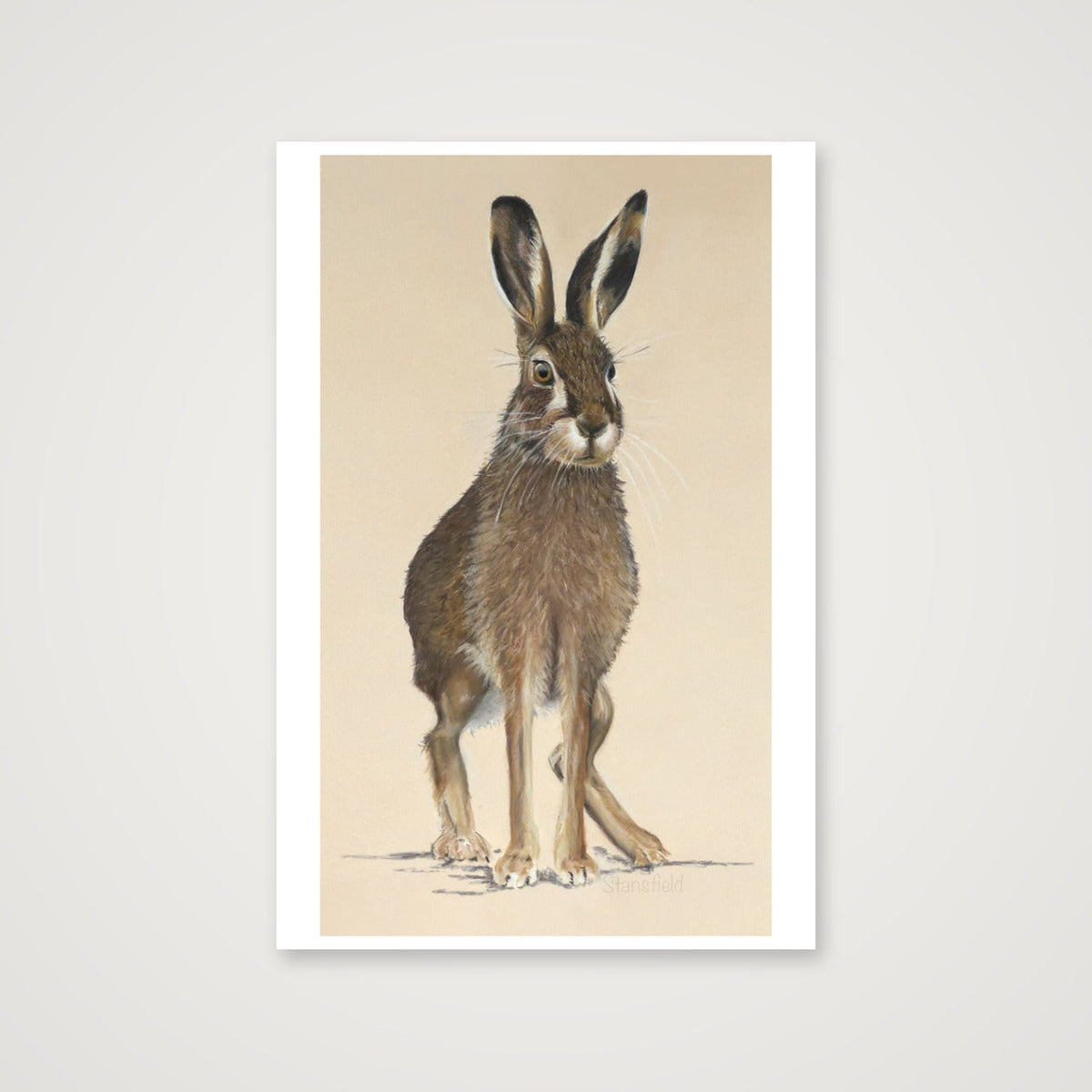 6  m hare increased background with tight dig sig — 40×60cm, 16×24" Print only