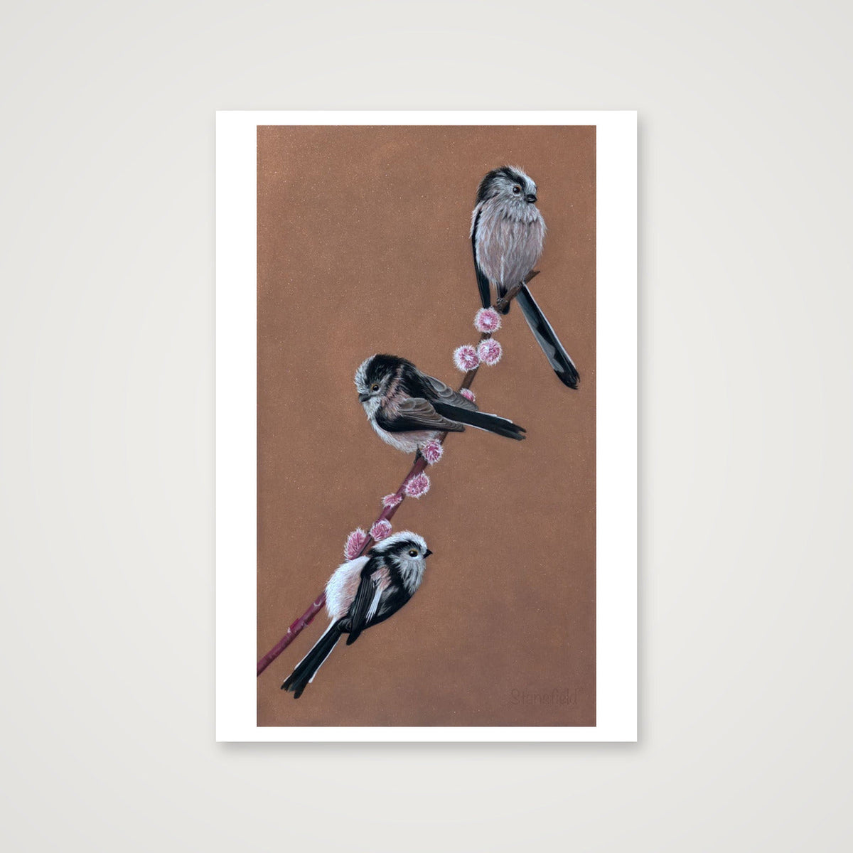 Long tailed tits on willow - an open edition print — 30×45cm, 12×18" Print only