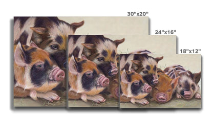 Four little piggies: A stretched canvas print of four cute piglets