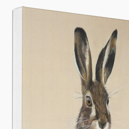 March hare: a stretched canvas of a European or brown hare