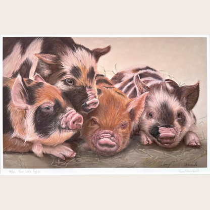 A limited edition print of  four cute piglets cuddled up together. Based on an original pastel painting by Fiona Stansfield.