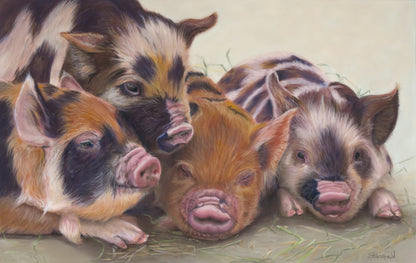 Illustration of four piglets on a textured surface