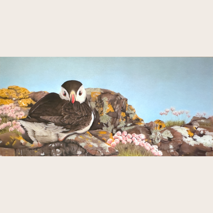 Puffin on the Rocks - Greetings card