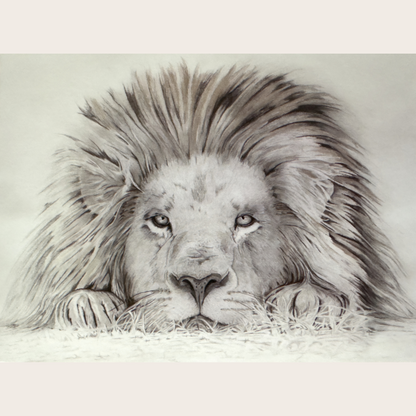 Lion - I See You: Greetings card