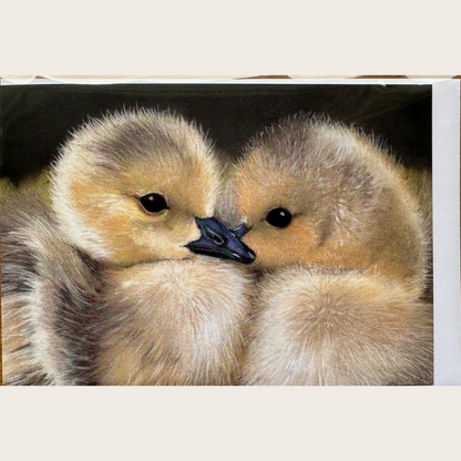Goslings: Greetings card