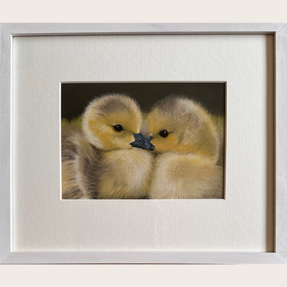 Picture of a cute pastel painting of two goslings cuddled together by artist Fiona Stansfield 