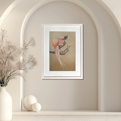 Male Phesant original pastel painting on white frame on a blank wall. Original painting by Fiona Stansfield Fine Art