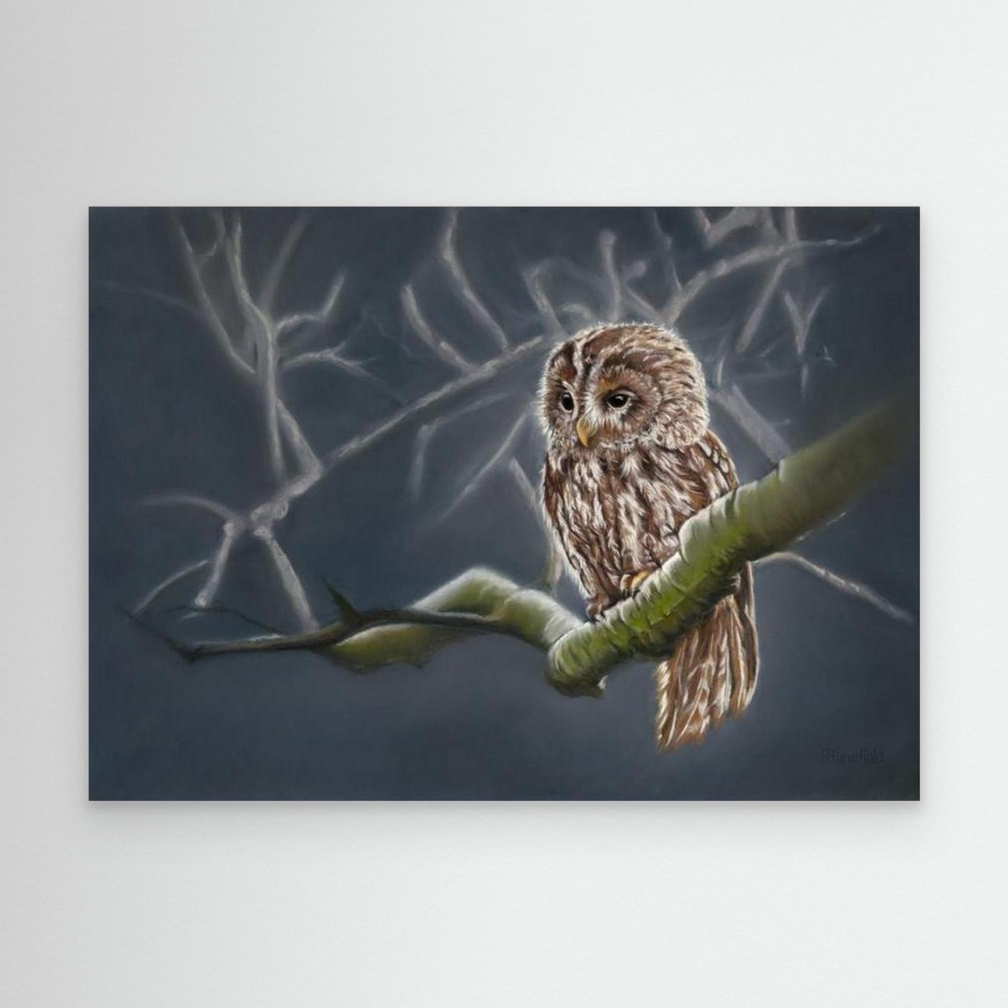 Moonlit tawny owl: stretched canvas and frame