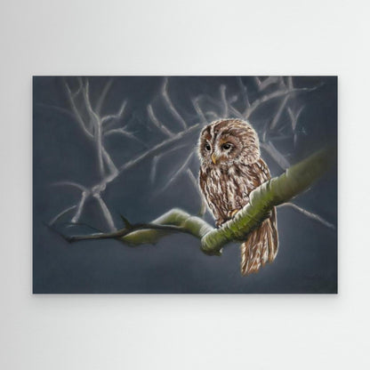 Moonlit tawny owl: stretched canvas and frame