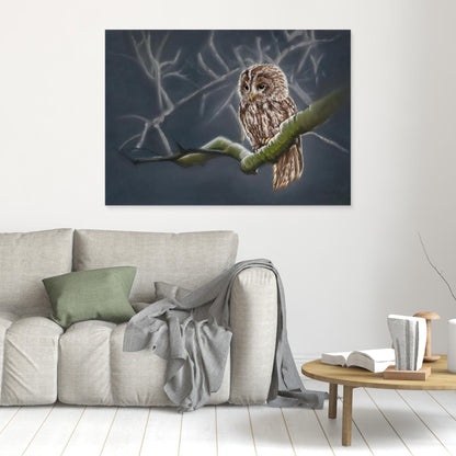 Moonlit tawny owl: stretched canvas and frame
