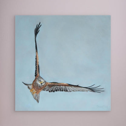Red kite