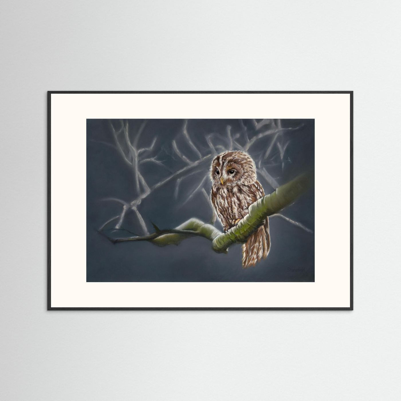 Moonlit tawny owl: open edition print