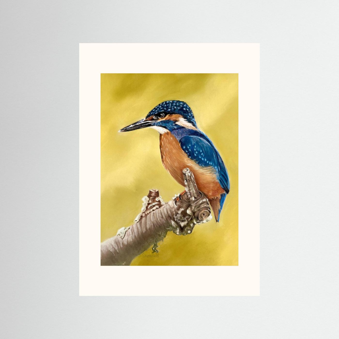 Kingfisher