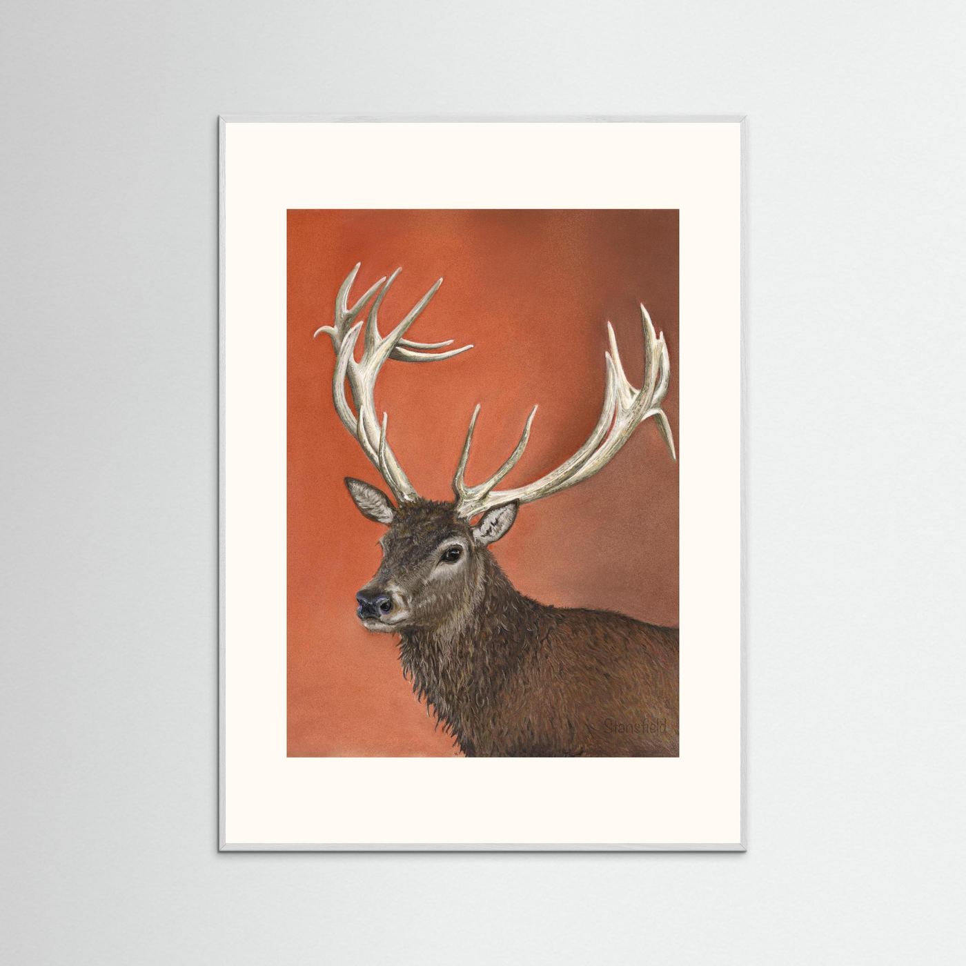 Red deer stag: open edition print