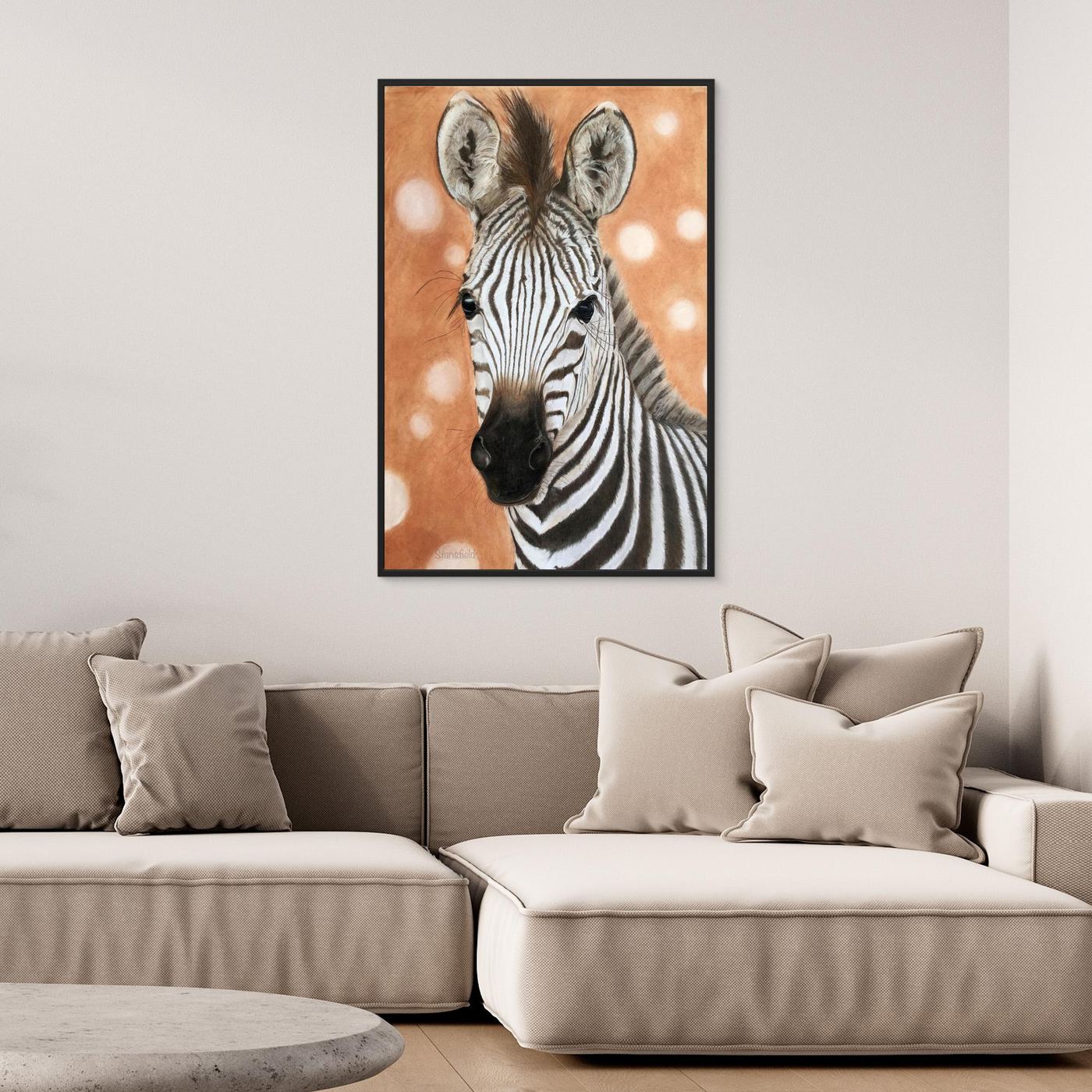 Zebra foal